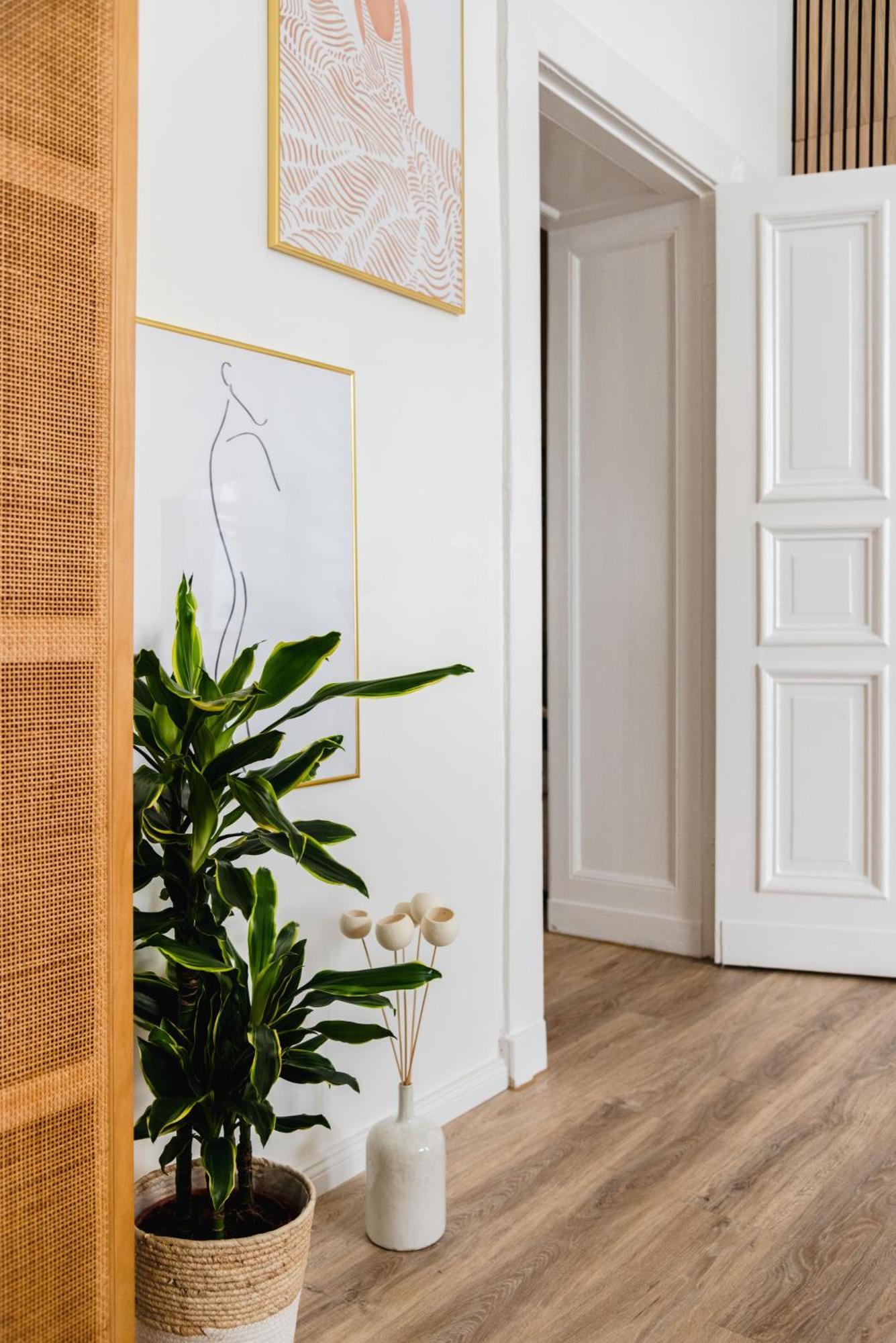 Appartement Exklusive Luxus-unterkunft In Mitte: 2 Apartments, 130m², Designer-moebel, Co2 Neutrale Reinigung